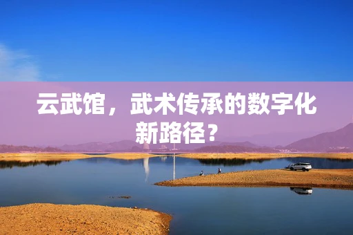 云武馆，武术传承的数字化新路径？