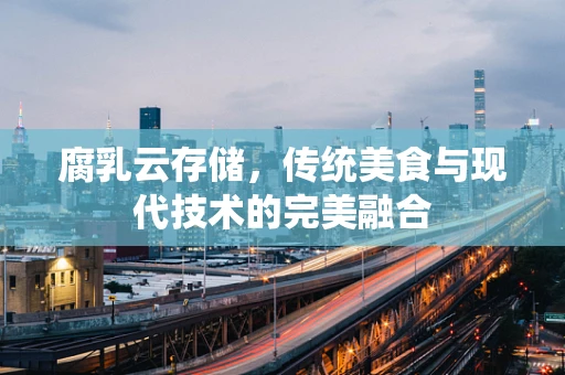 腐乳云存储，传统美食与现代技术的完美融合