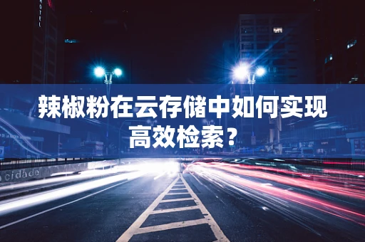 辣椒粉在云存储中如何实现高效检索？