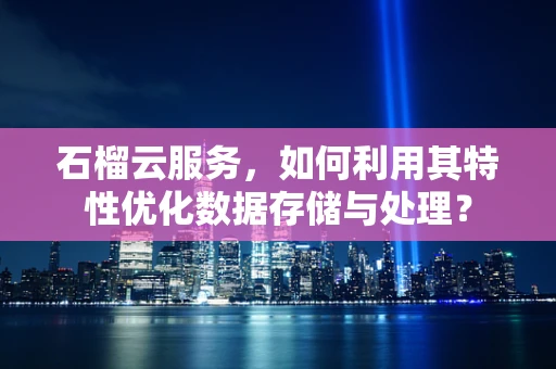 石榴云服务，如何利用其特性优化数据存储与处理？