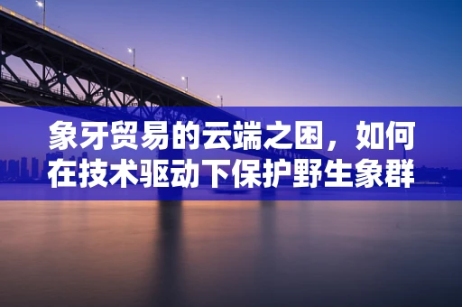 象牙贸易的云端之困，如何在技术驱动下保护野生象群？