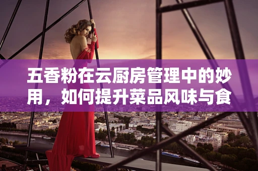 五香粉在云厨房管理中的妙用，如何提升菜品风味与食品安全？