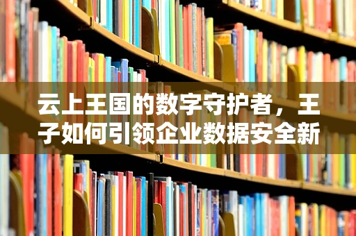 云上王国的数字守护者，王子如何引领企业数据安全新纪元？