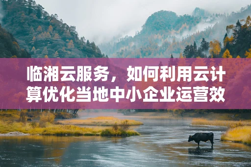 临湘云服务，如何利用云计算优化当地中小企业运营效率？