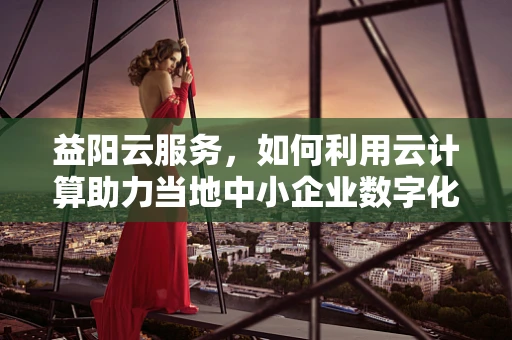 益阳云服务，如何利用云计算助力当地中小企业数字化转型？