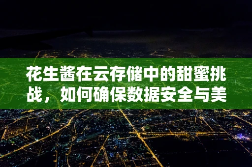 花生酱在云存储中的甜蜜挑战，如何确保数据安全与美味并存？