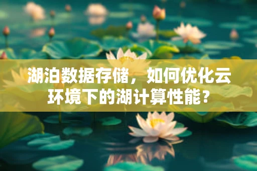 湖泊数据存储，如何优化云环境下的湖计算性能？