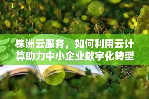 株洲云服务，如何利用云计算助力中小企业数字化转型？