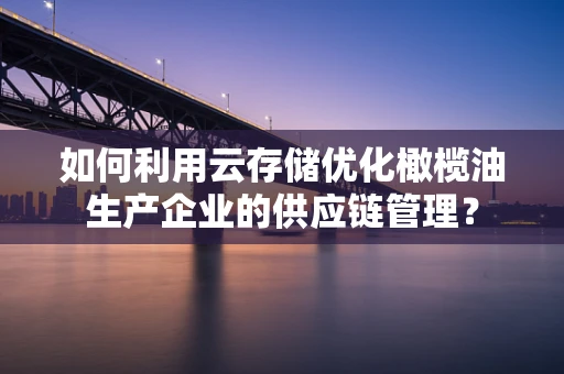 如何利用云存储优化橄榄油生产企业的供应链管理？