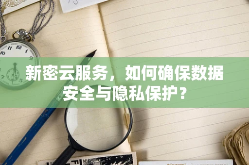 新密云服务，如何确保数据安全与隐私保护？