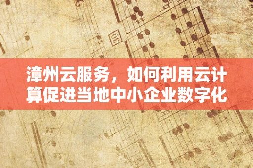 漳州云服务，如何利用云计算促进当地中小企业数字化转型？