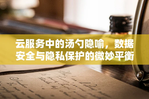 云服务中的汤勺隐喻，数据安全与隐私保护的微妙平衡