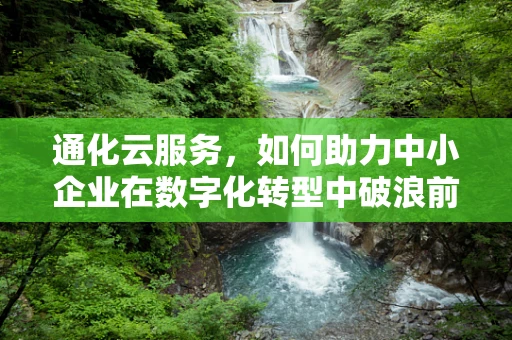 通化云服务，如何助力中小企业在数字化转型中破浪前行？