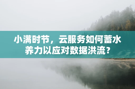 小满时节，云服务如何蓄水养力以应对数据洪流？