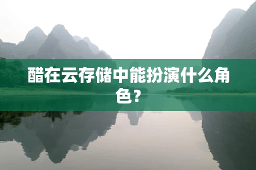 醋在云存储中能扮演什么角色？