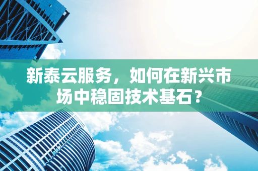 新泰云服务，如何在新兴市场中稳固技术基石？