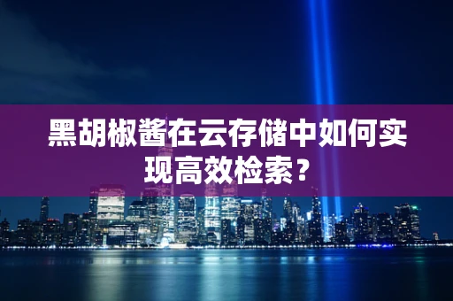 黑胡椒酱在云存储中如何实现高效检索？