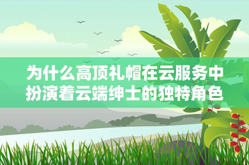 为什么高顶礼帽在云服务中扮演着云端绅士的独特角色？