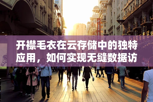 开襟毛衣在云存储中的独特应用，如何实现无缝数据访问？