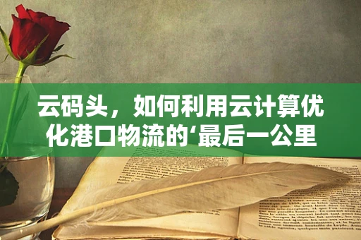 云码头，如何利用云计算优化港口物流的‘最后一公里’？