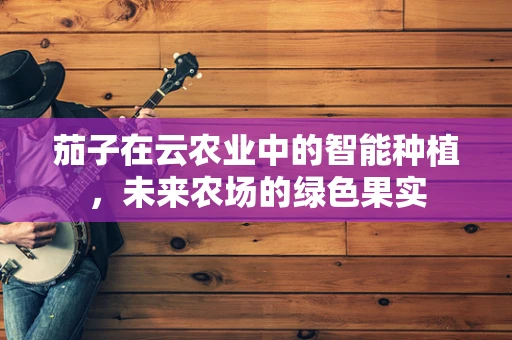 茄子在云农业中的智能种植，未来农场的绿色果实