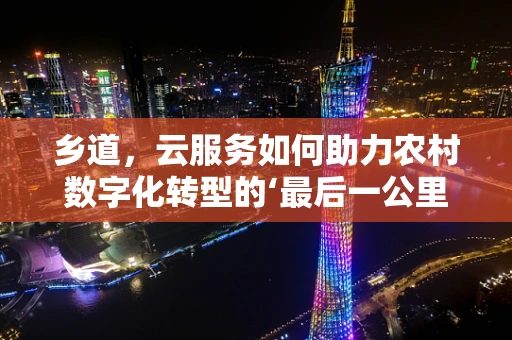 乡道，云服务如何助力农村数字化转型的‘最后一公里’？