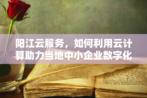 阳江云服务，如何利用云计算助力当地中小企业数字化转型？