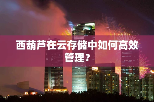 西葫芦在云存储中如何高效管理？