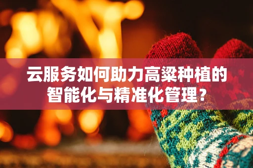 云服务如何助力高粱种植的智能化与精准化管理？