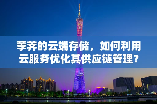 荸荠的云端存储，如何利用云服务优化其供应链管理？