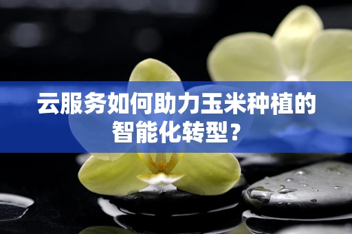 云服务如何助力玉米种植的智能化转型？