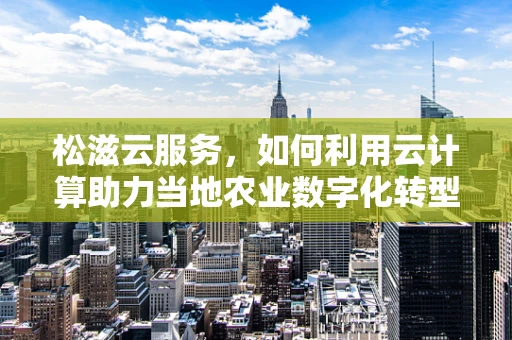 松滋云服务，如何利用云计算助力当地农业数字化转型？