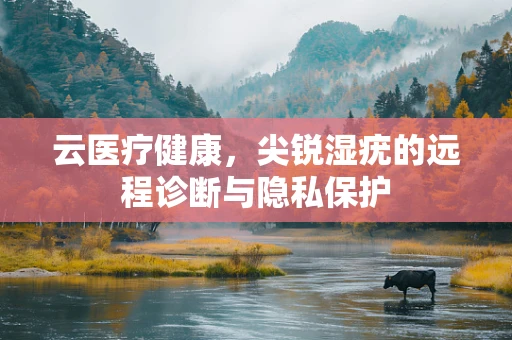 云医疗健康，尖锐湿疣的远程诊断与隐私保护