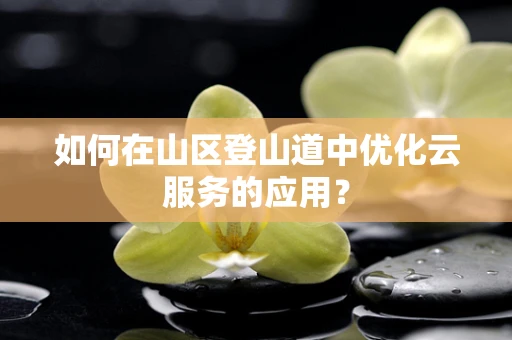 如何在山区登山道中优化云服务的应用？