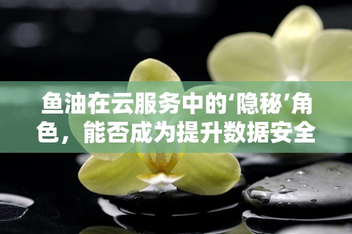 鱼油在云服务中的‘隐秘’角色，能否成为提升数据安全的新钥匙？