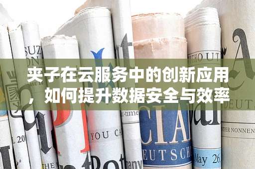 夹子在云服务中的创新应用，如何提升数据安全与效率？