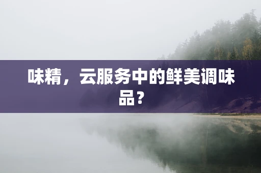 味精，云服务中的鲜美调味品？