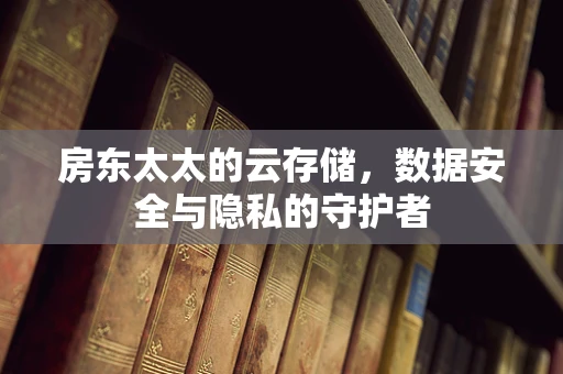 房东太太的云存储，数据安全与隐私的守护者