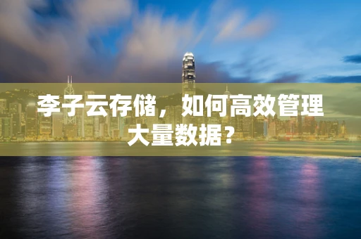 李子云存储，如何高效管理大量数据？