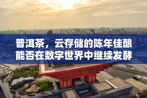 普洱茶，云存储的陈年佳酿能否在数字世界中继续发酵？