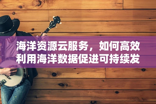 海洋资源云服务，如何高效利用海洋数据促进可持续发展？