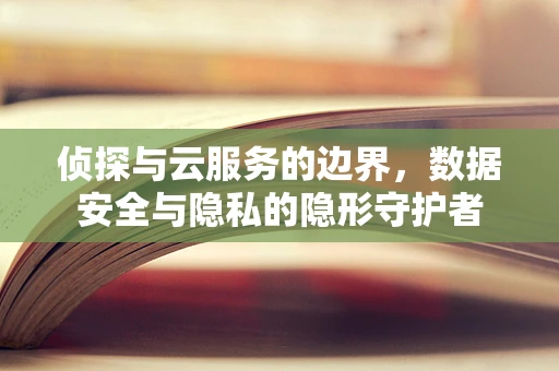 侦探与云服务的边界，数据安全与隐私的隐形守护者
