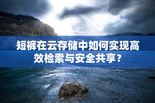 短裤在云存储中如何实现高效检索与安全共享？