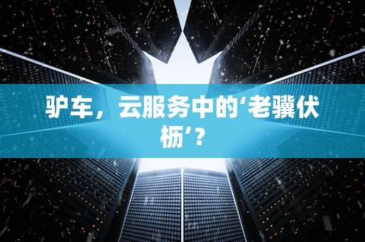 驴车，云服务中的‘老骥伏枥’？