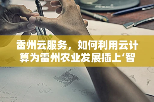 雷州云服务，如何利用云计算为雷州农业发展插上‘智慧’的翅膀？