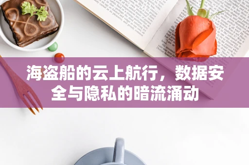 海盗船的云上航行，数据安全与隐私的暗流涌动