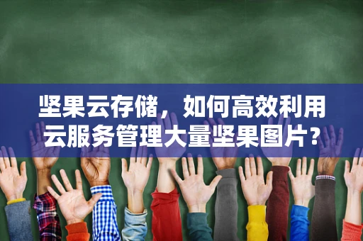 坚果云存储，如何高效利用云服务管理大量坚果图片？