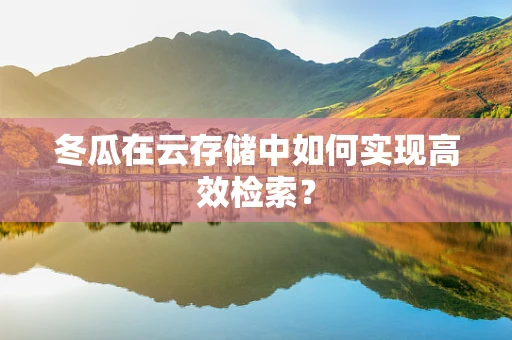 冬瓜在云存储中如何实现高效检索？
