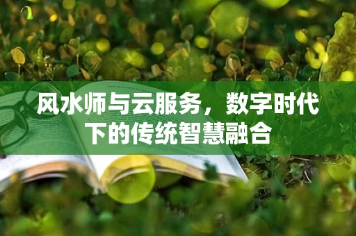 风水师与云服务，数字时代下的传统智慧融合