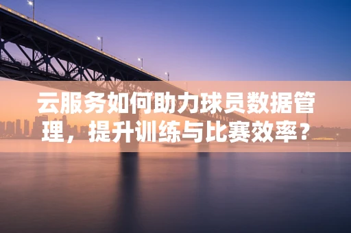 云服务如何助力球员数据管理，提升训练与比赛效率？